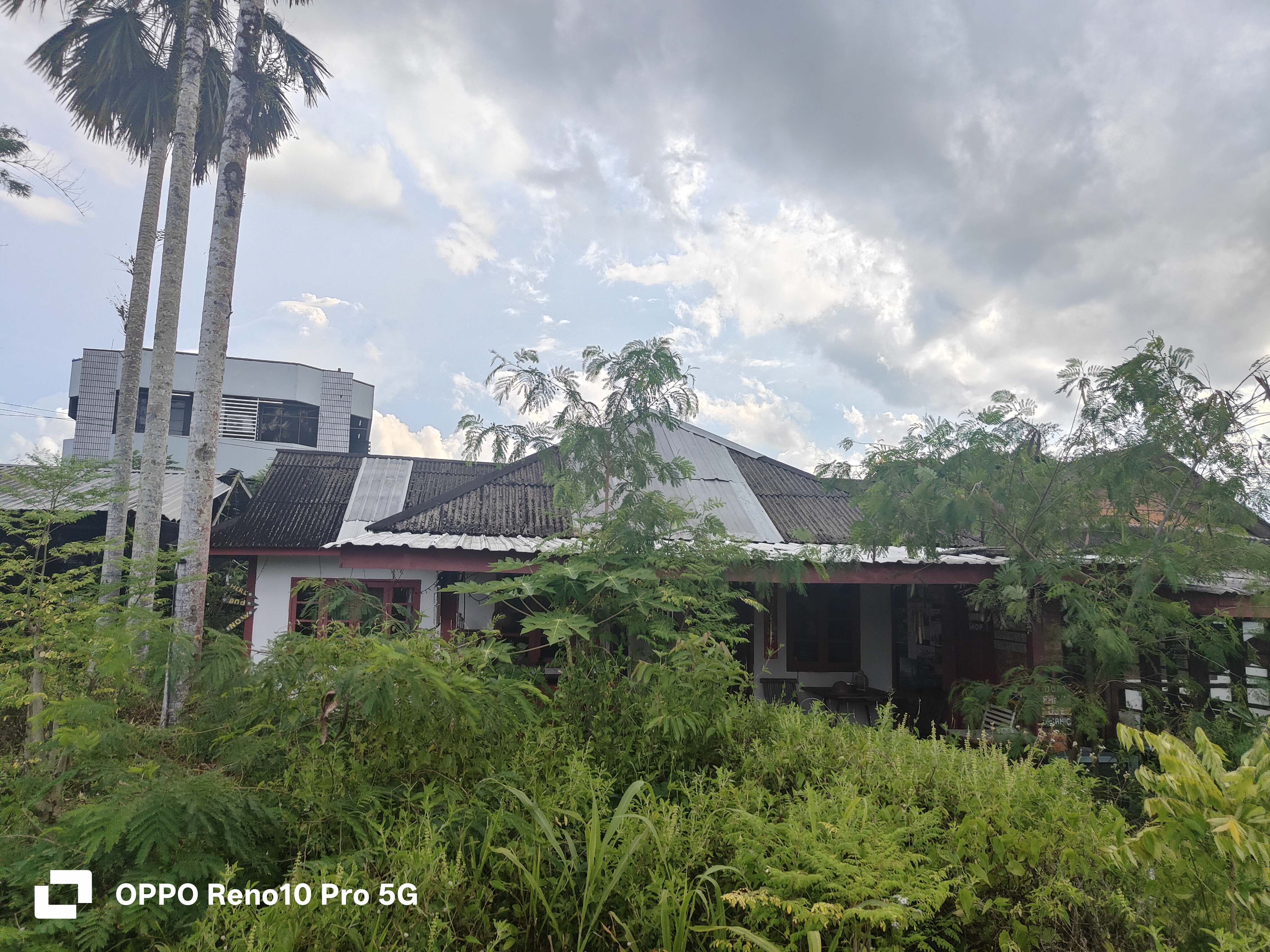 John Cottage side view with old roof, Sarawak