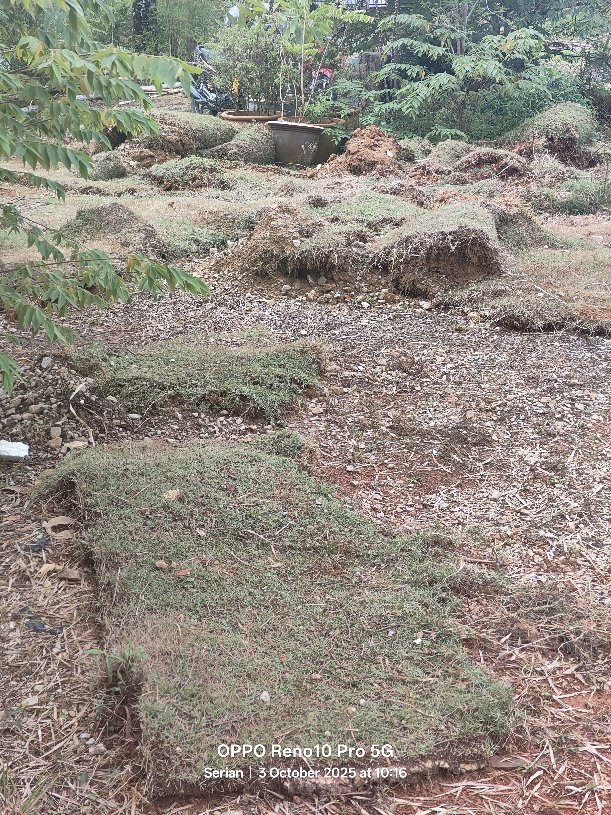 Cleared land and turf at John Cottage