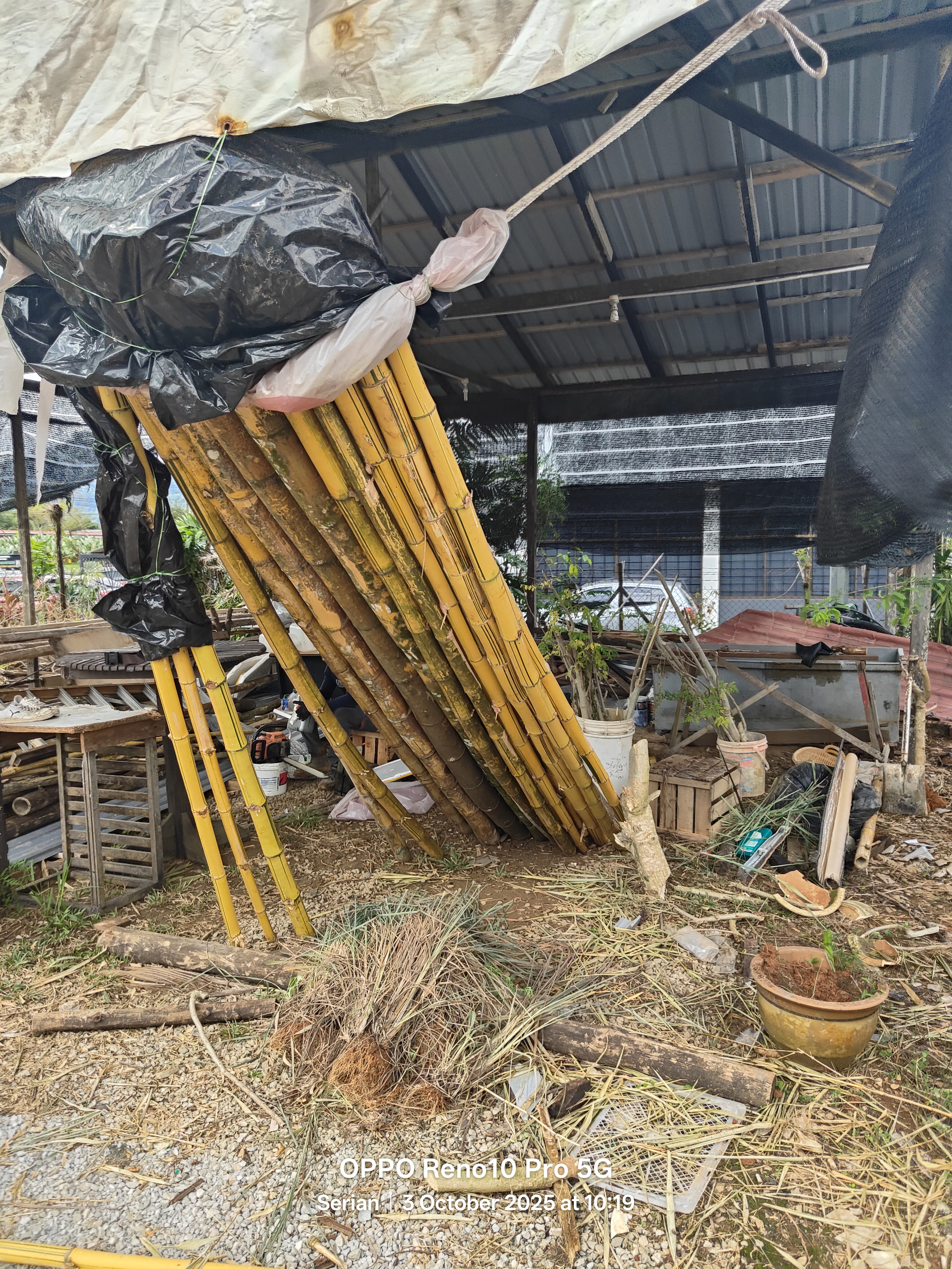 Site preparation at John Cottage Serian