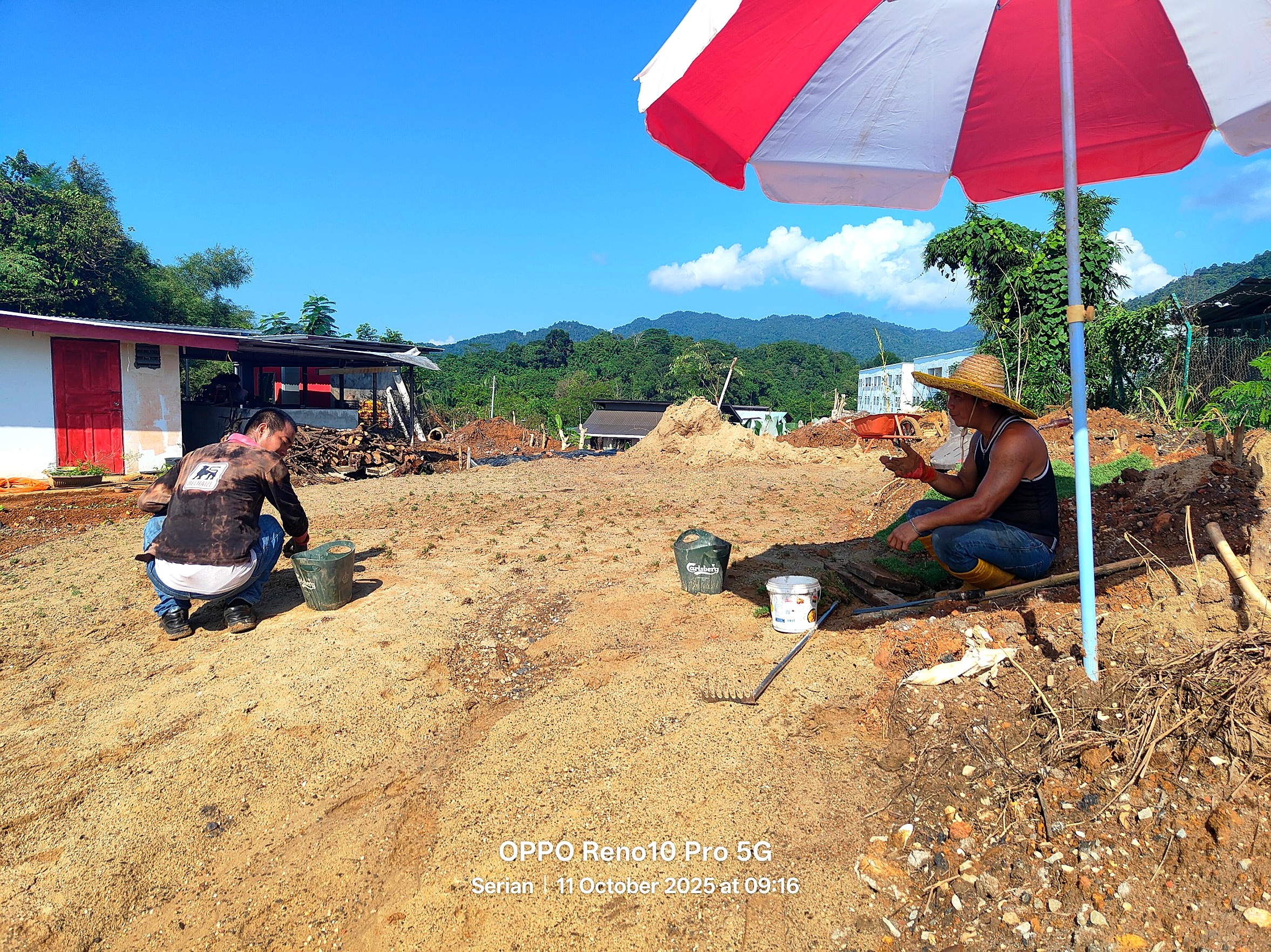 Nursery work at John Cottage Serian