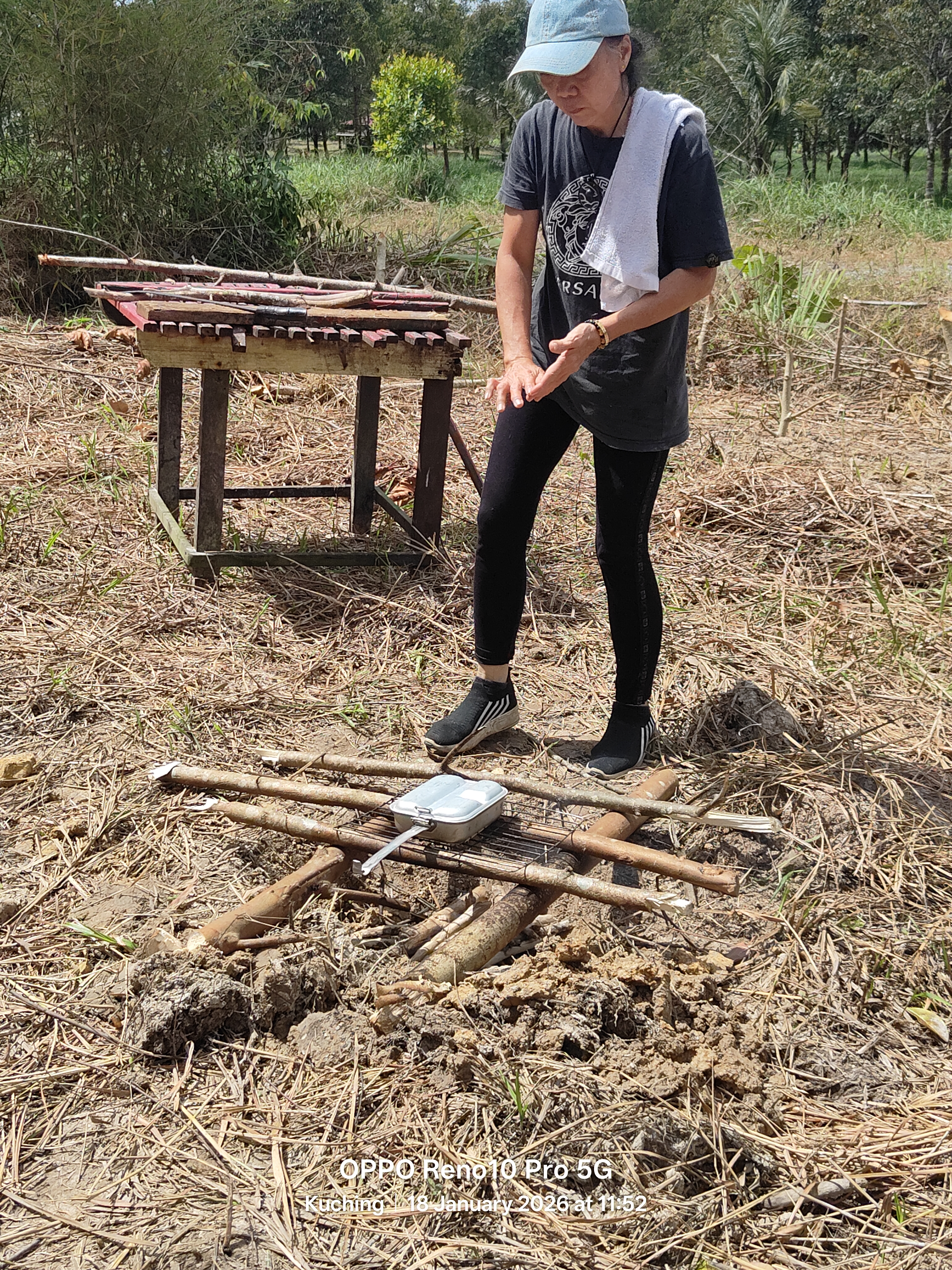 Matang Forest regenerative project setup in Borneo