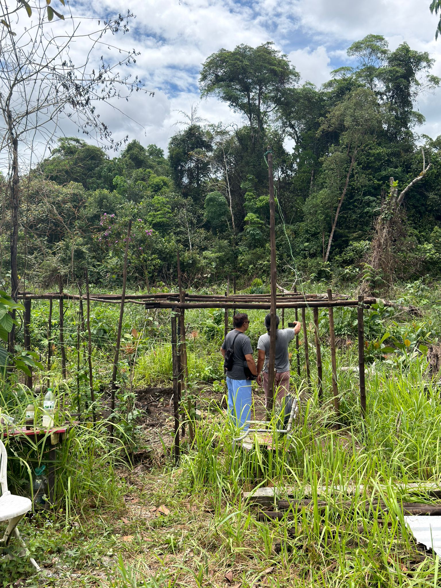 Forest trail at Matang Forest, Sarawak